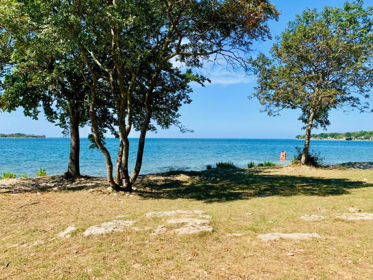 Villa Zen - With Pool & Close To The Sea Tar-Vabriga 外观 照片