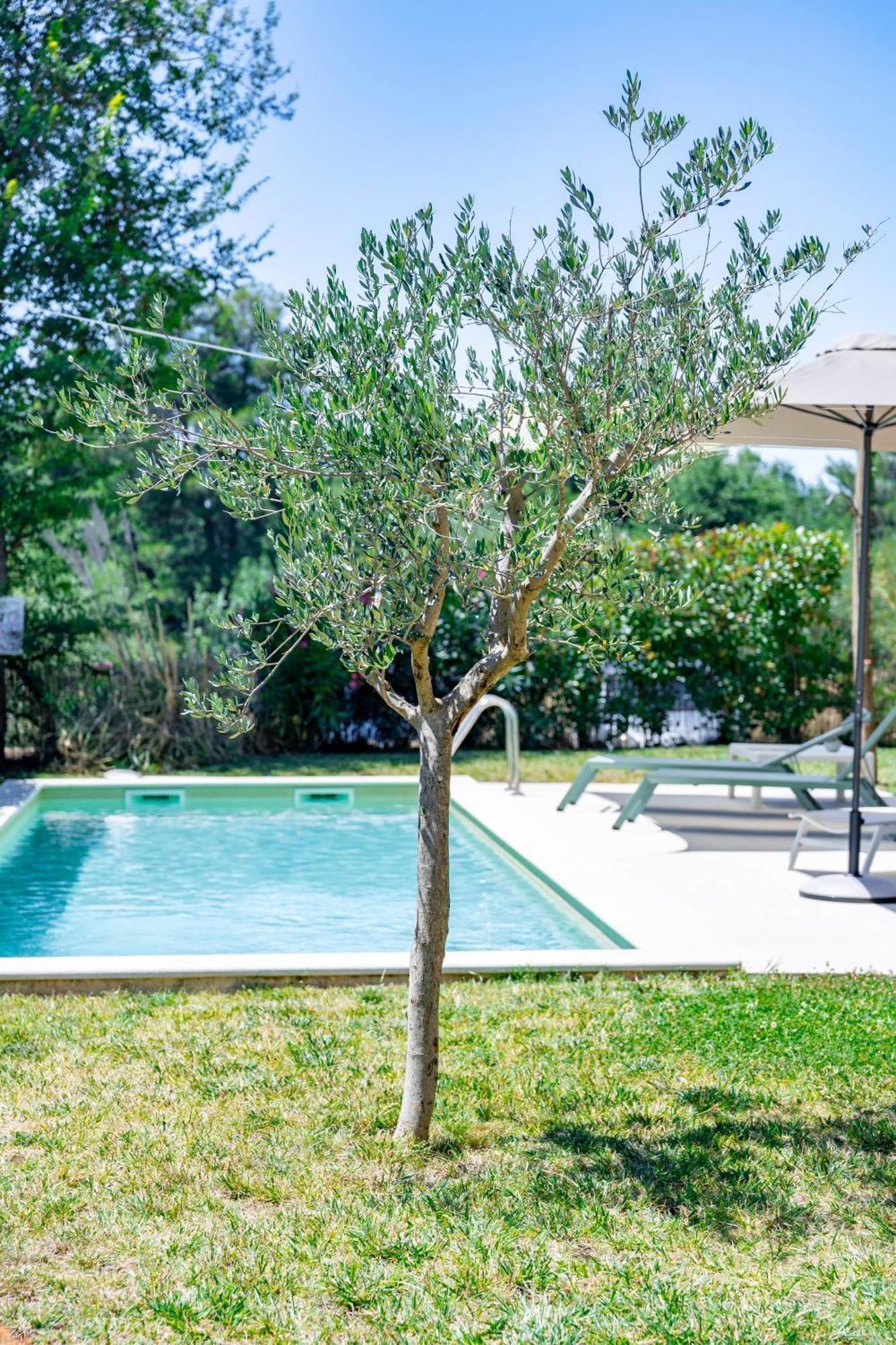 Villa Zen - With Pool & Close To The Sea Tar-Vabriga 外观 照片